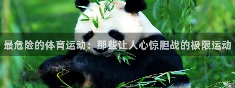 yy易游官方正版app娱乐代理怎么样:最危险的体育运动:那些