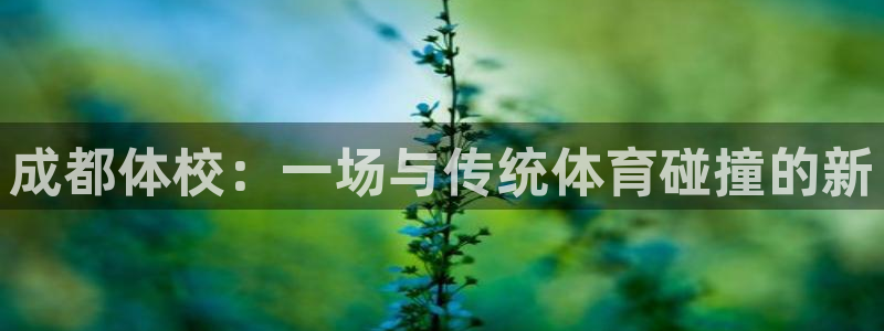 yy易游官方正版app娱乐40996:成都体校:一场与传统体
