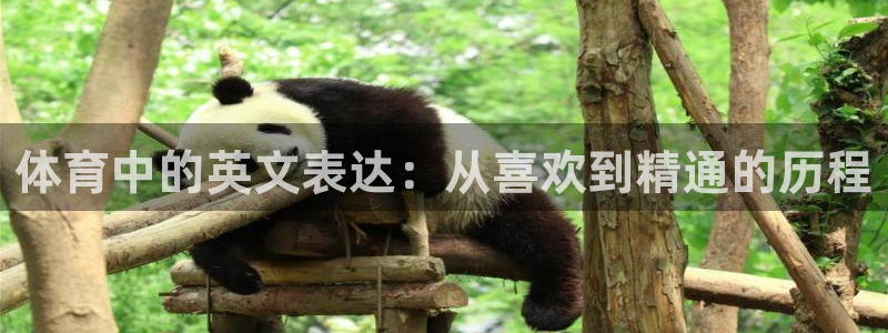yy易游官网下载平台是正规平台吗安全吗:体育中的英文表达:从