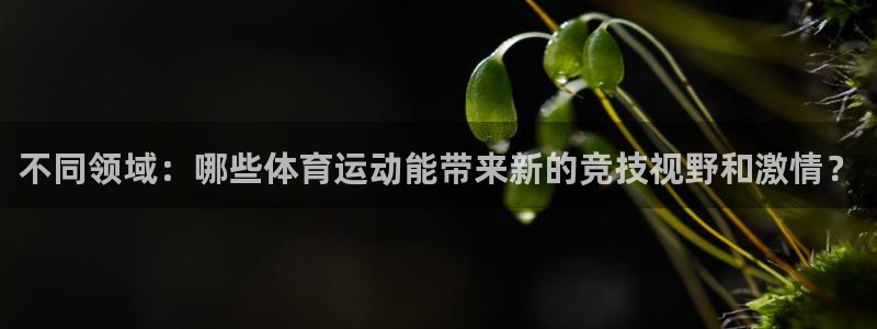 yy易游官网下载招商电话地址:不同领域:哪些体育运动能带来新