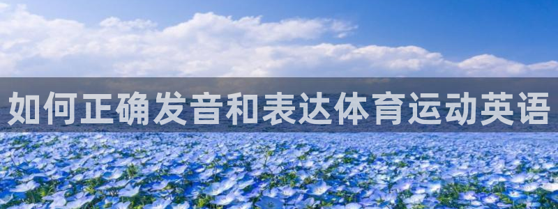 yy易游官方正版app娱乐是那个系列的台子:如何正确发音和表