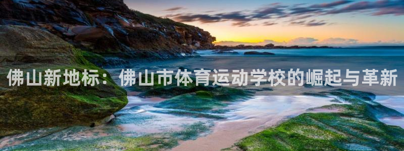 yy易游官方正版app集团官网首页:佛山新地标:佛山市体育运